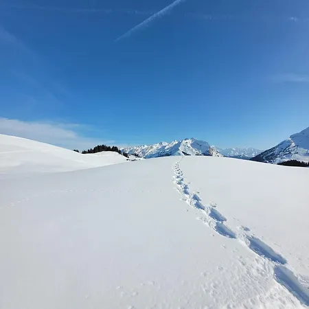 Chalet Tosbrand